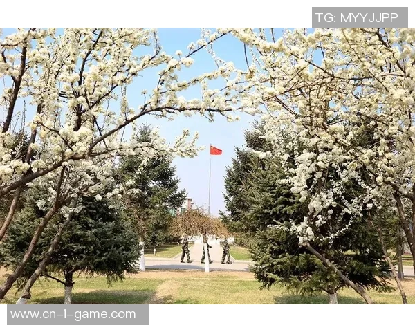 柯萱足球：青春拼搏的绿茵梦想与奋斗之路